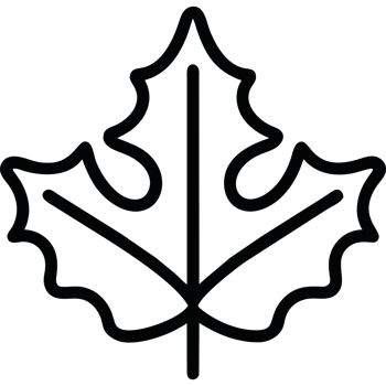 leaf icon illustration isolated png