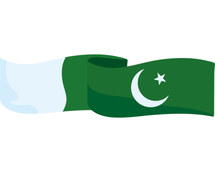 Pakistan flag clipart icon isolated png