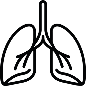 Lungs icon isolated png