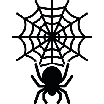 Spider in spiderweb halloween icon on a transparent background png