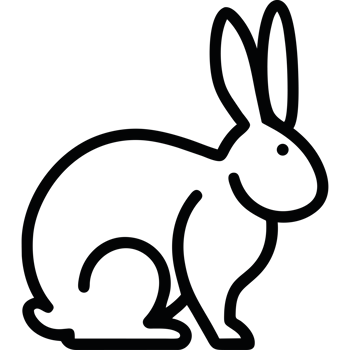 Rabbit icon on a transparent background png