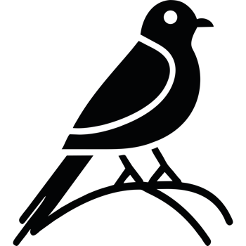 A black and white bird sitting on a branch png