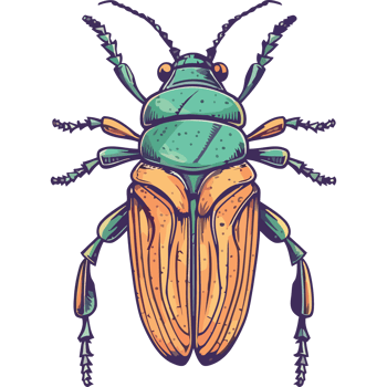 A colorful bug with a long antenna png
