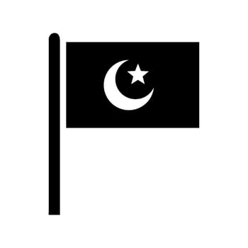 Flag of pakistan illustration vector