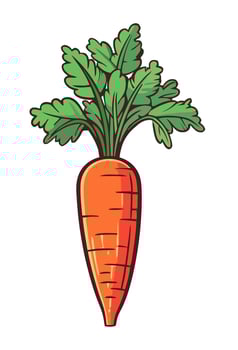 Fresh organic carrot, a symbol of healthy eating illustration vector