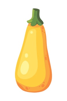 zucchini fresh vegetable icon vector