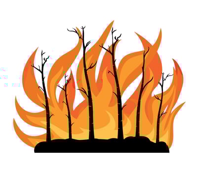 A fire with trees in the background vector