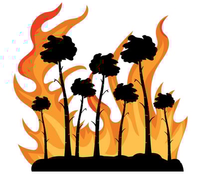A group of palm trees in the middle of a fire vector