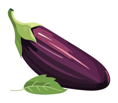 An eggplant is shown on a white background vector