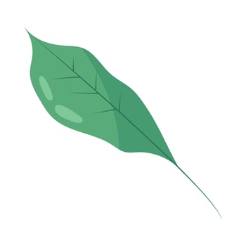 A green leaf on a white background vector