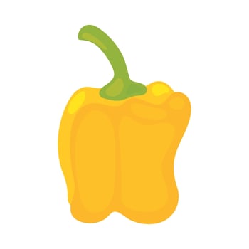 A yellow pepper on a white background vector