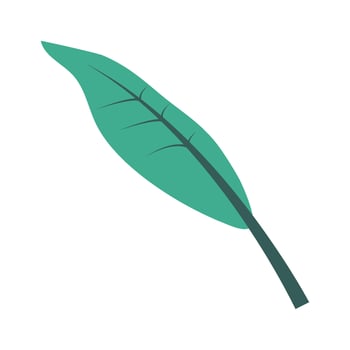 A green leaf on a white background vector