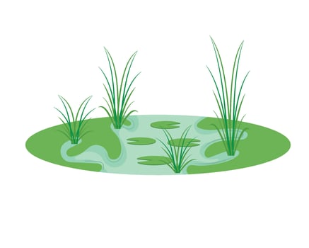 A cartoon illustration of a pond with grass and water vector