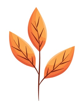 Autumn leaves illustration vector
