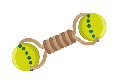 A toy with a green ball and a rope vector