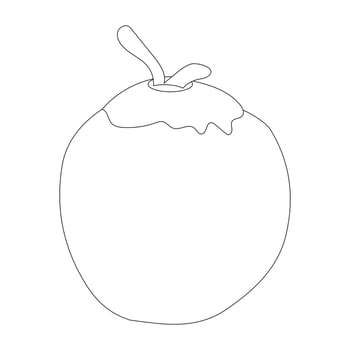 Coconut fruit icon editable, single. Illustration of coconut isolated on white background. For kids coloring book. eps10 vector