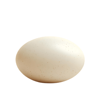 A Single Egg with a Transparent Background, Isolated on Black png