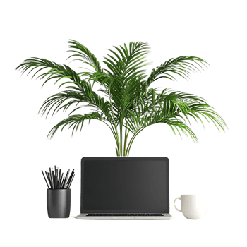 Laptop with a Palm Tree in the Background, a Cup of Coffee and a Pencil Holder with a Transparent Background png