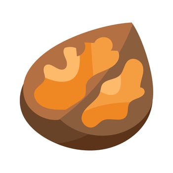Walnut Split In Half Nut Shell With Ripe Core Icon vector