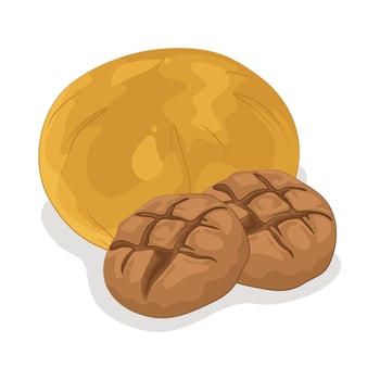Perfectly Round Shaped Bread vector