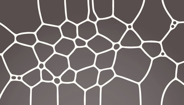 abstract voronoi lines mesh pattern background vector
