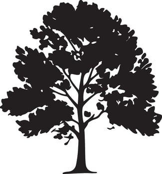 Bare Beauty Tree Silhouettes on White Background. vector
