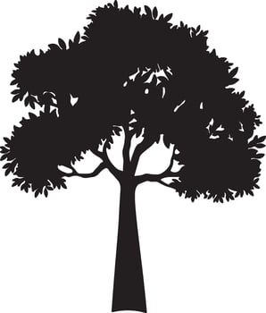 Silent Woods Tree Silhouettes on a Pure Background vector