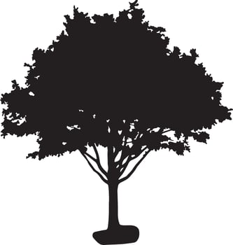 Minimalist Nature Silhouettes of Trees vector