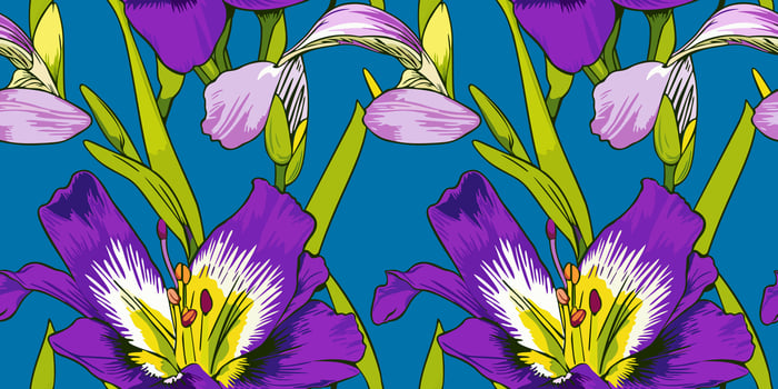 seamless pattern with freesia flowers on blue background vector