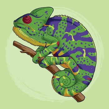 Comic HandDrawn Colorful Chameleon on a Branch vector
