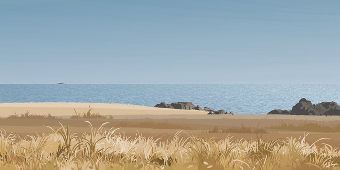 Seashore landscape with grass field in autumn season graphic illustration. Coastline have blue sky background. vector