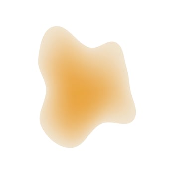 a yellow and orange fluid on a white background vector