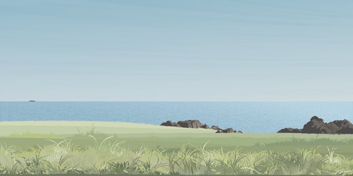 Seashore landscape with grass field graphic illustration have blank space. Coastline have blue sky background. vector