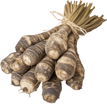 Taro vegetable isolated, Root vegetable Clipart - bunch of Taro root illustration png