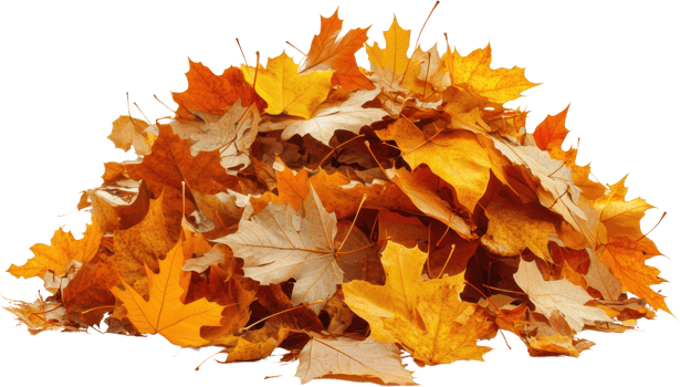 Autumn maple leaves pile isolated transparent background png