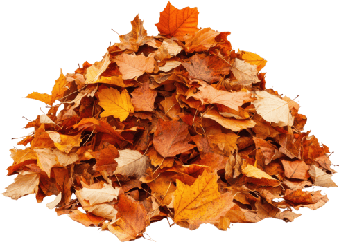 Pile of autumn leaves fall foliage isolated transparent background png