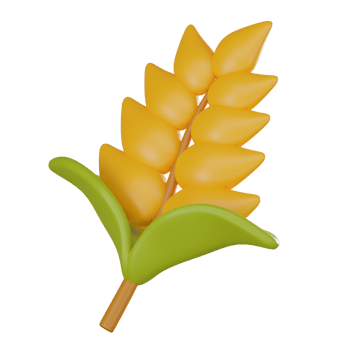 3D Wheat Spikelets Illustration, Harvest and Farming Grain Icon png