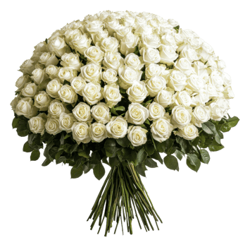 Elegant white rose bouquet png