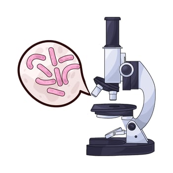 illustration of examine bacteria with a microscope vector