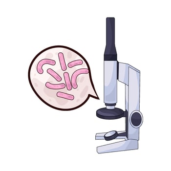 examine bacteria with a microscope vector