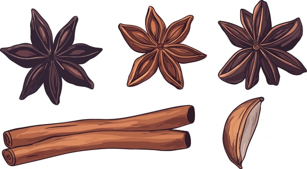star anise and cinnamon sticks vector