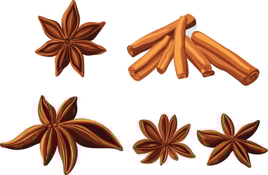 star anise and cinnamon sticks, showcasing spices vector
