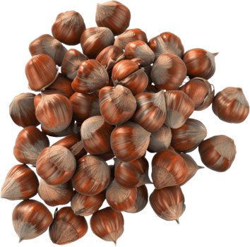 Pile of whole hazelnuts, cut out transparent png
