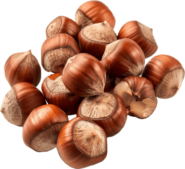 Pile of whole hazelnuts, cut out transparent png