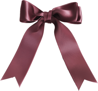 Elegant satin ribbon bow, cut out transparent png