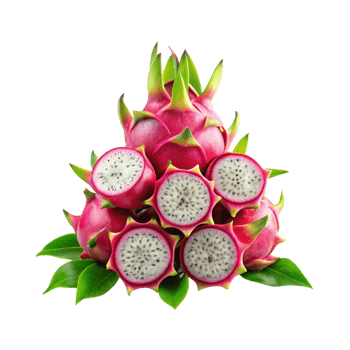 pail of dragon fruit png