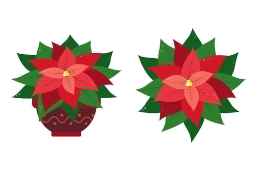 Poinsettia Colorful Christmas flower in trendy bright New Year shades Isolated Set of 2 elements Flat lay Top view and front. Cards, posters, banners, brochure, price, label or web illustration vector