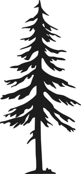 Tall Pine Tree Silhouette vector
