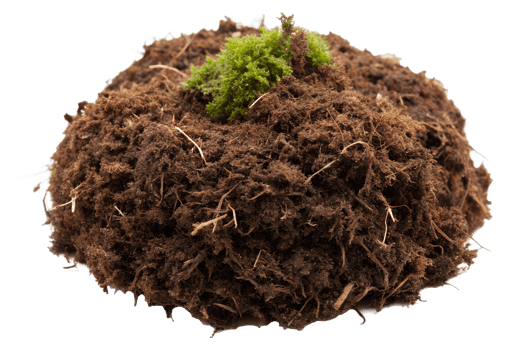 PNG clump of soil with small green plant on white transparent