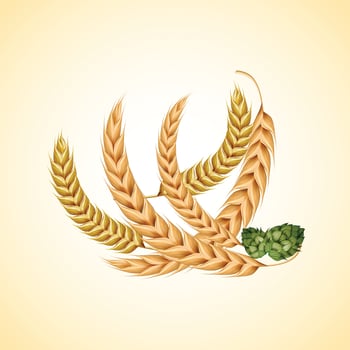 a drawing of wheat and a plant. vector
